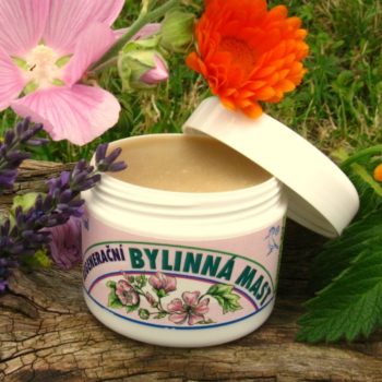 bylinna regeneracna